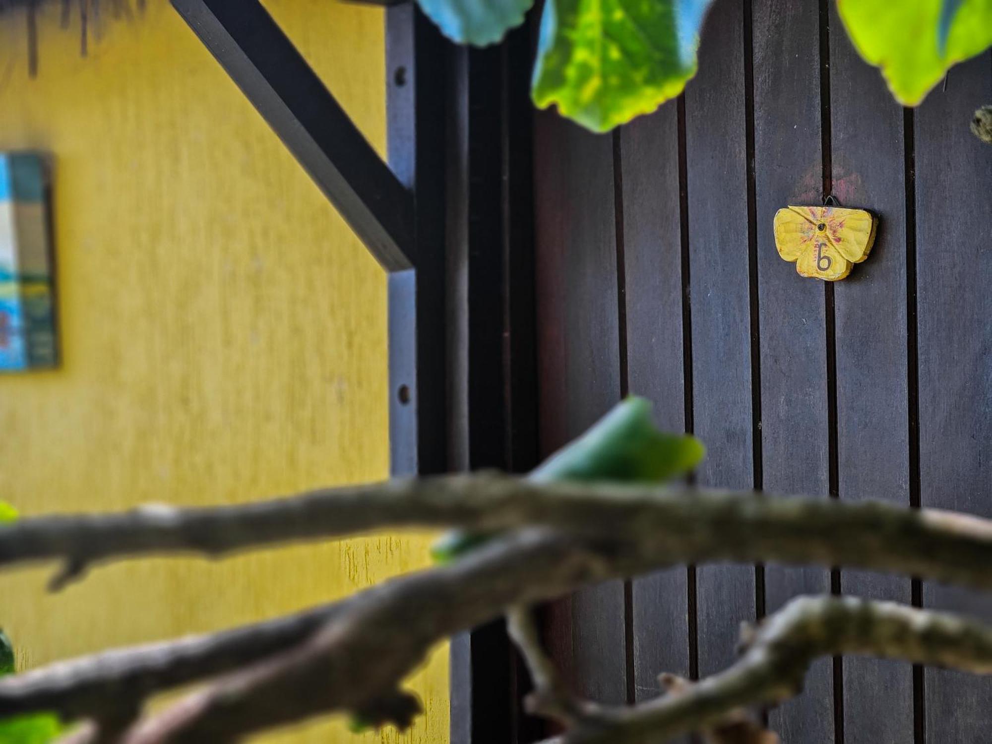 Bella Vista Ocean View Hotel Búzios Eksteriør billede A yellow butterfly on a wall