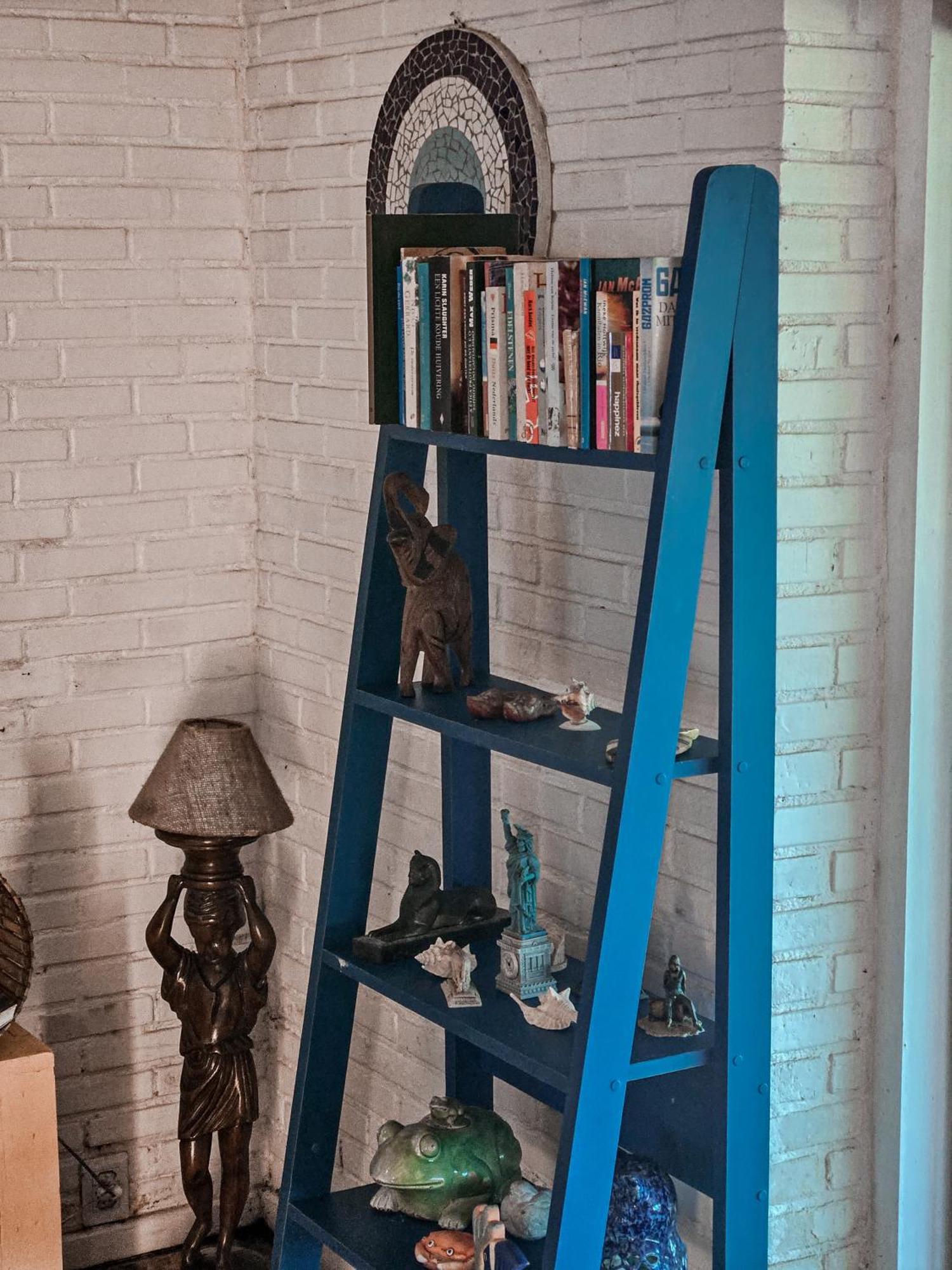 Bella Vista Ocean View Hotel Búzios Eksteriør billede A blue ladder shelf