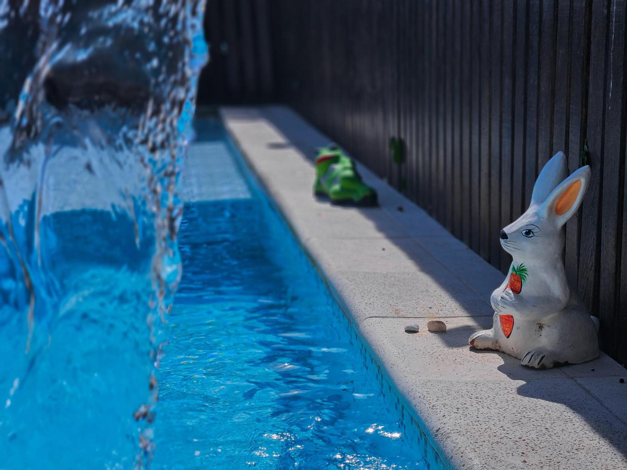 Bella Vista Ocean View Hotel Búzios Eksteriør billede A bunny watering can